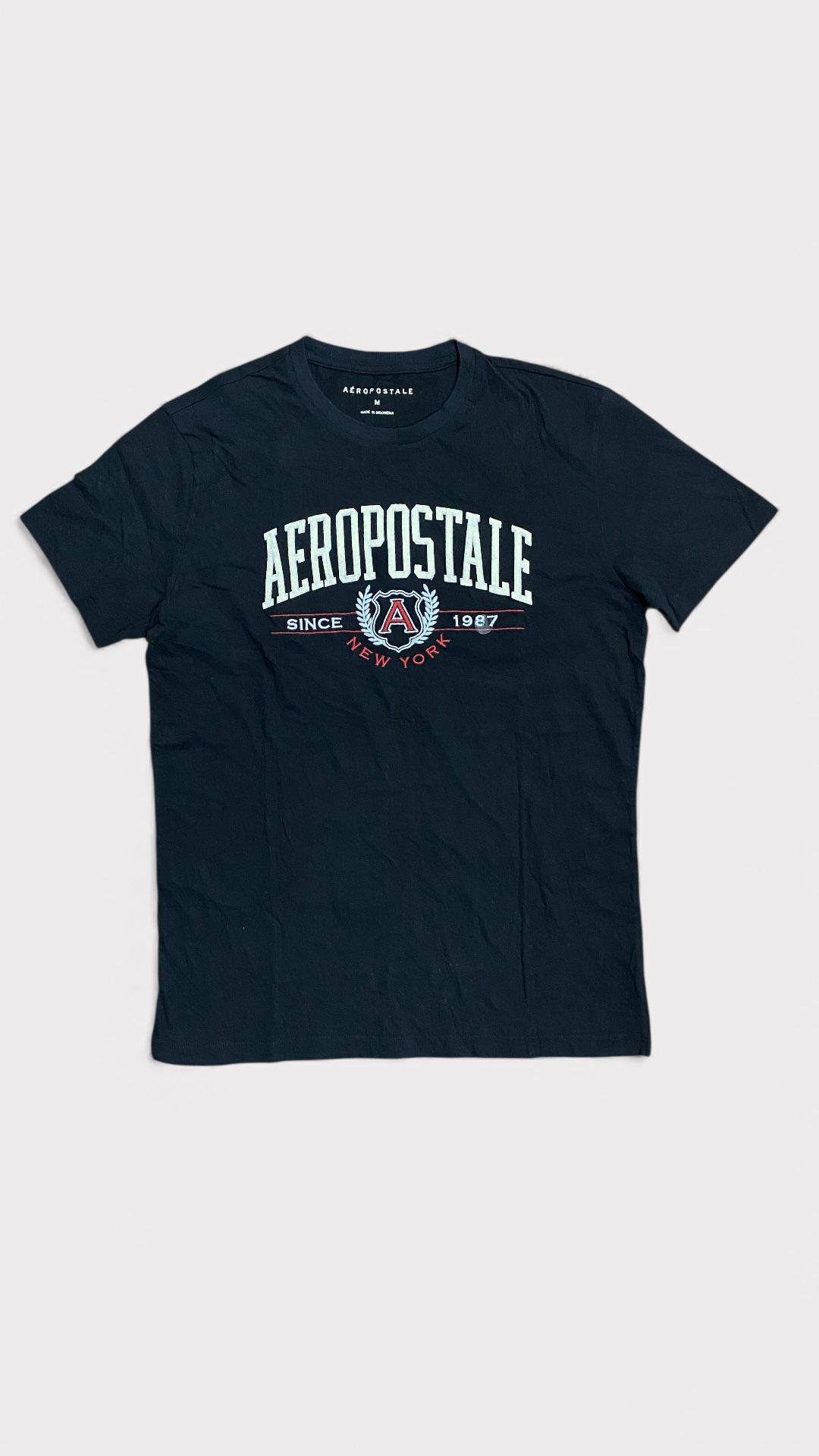 MEN’S T-SHIRT AERO PSTL